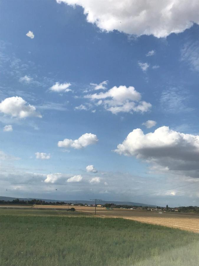 Apartmán Laupus-Hof Bad Vilbel Exteriér fotografie